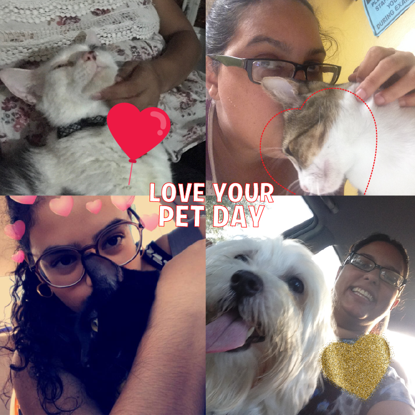 Love your pet day-01