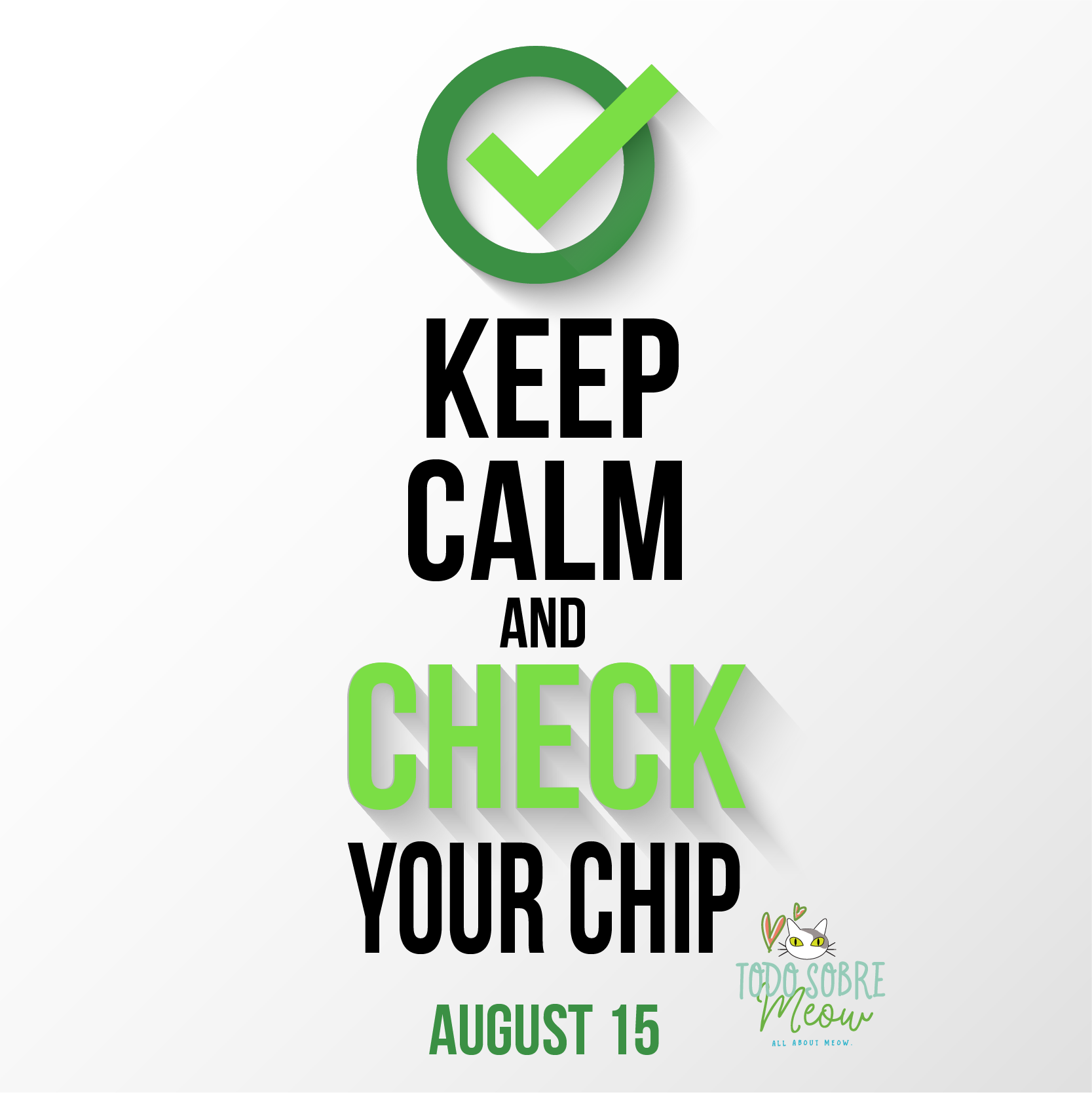 check the chip day-01